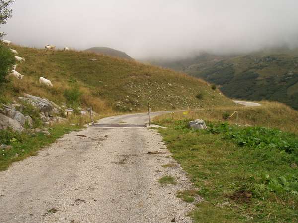 fichier 20020829_1616_barrieres_canadiennes-0.jpg
