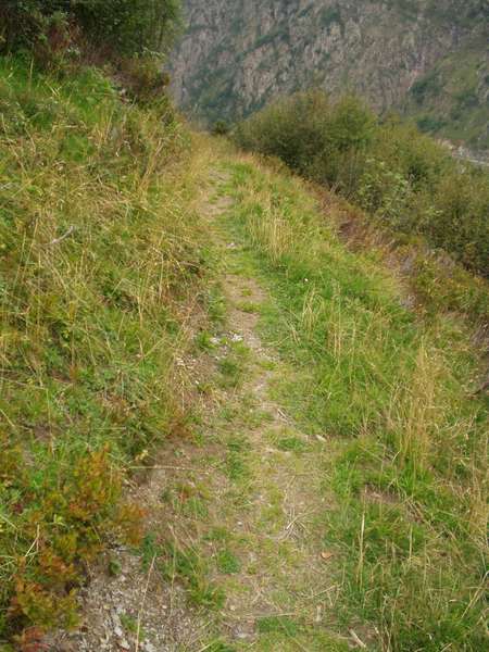 fichier 20020829_1815_petit_chemin-0.jpg