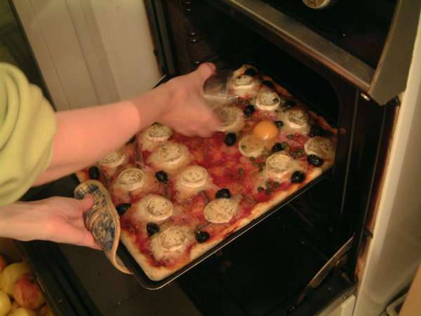 fichier 20040102_2036_5mm_introduction_oeuf-0.jpg