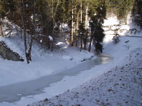 fichier 20050313_1607_001meaudret_gele-0.jpg