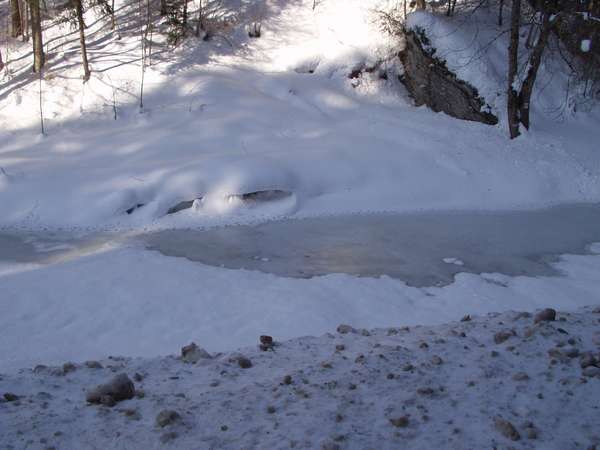 fichier 20050313_1607_002meaudret_gele-0.jpg