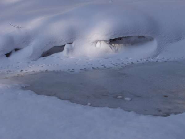 fichier 20050313_1608_meaudret_gele-0.jpg