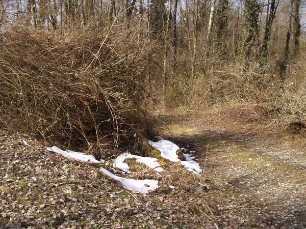 fichier 20050313_1117_003piste_cyclable_neige-0.jpg