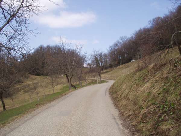 fichier 20050313_1300_route_d35-0.jpg