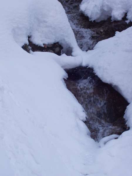 fichier 20050313_1337_002ruisseau_sous_nege-0.jpg