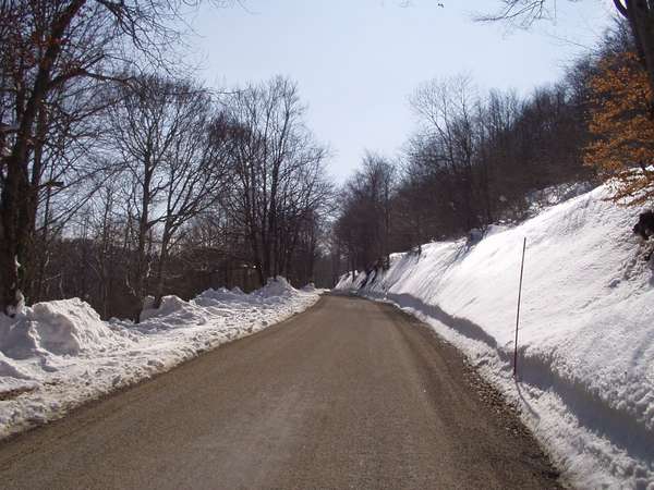 fichier 20050313_1416_001route_d35_neige-0.jpg