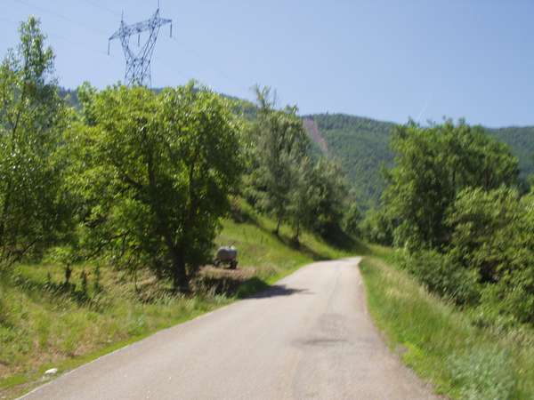 fichier 20050605_1240_001d212f_route-0.jpg