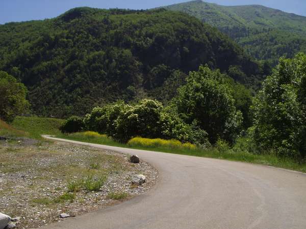 fichier 20050605_1241_001d212f_route_virage-0.jpg