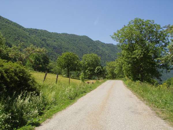 fichier 20050605_1245_003d212f_route-0.jpg