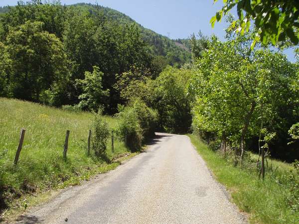 fichier 20050605_1249_001d212f_route-0.jpg