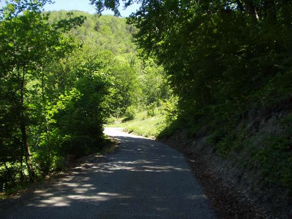 fichier 20050605_1251_003d212f_route-0.jpg