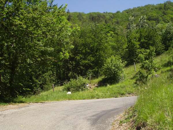 fichier 20050605_1251_004d212f_route-0.jpg