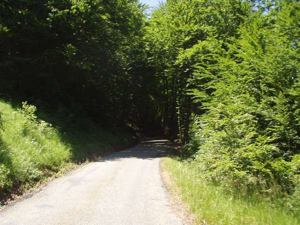 fichier 20050605_1252_001d212f_route-0.jpg