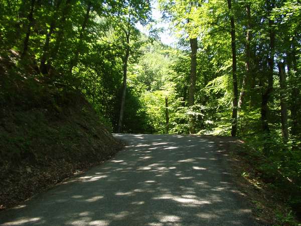 fichier 20050605_1254_d212f_route-0.jpg