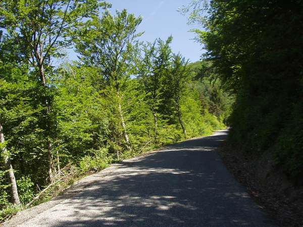 fichier 20050605_1257_001d212f_route-0.jpg