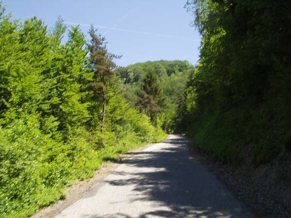 fichier 20050605_1257_002d212f_route-0.jpg