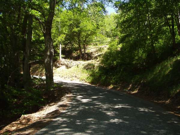 fichier 20050605_1301_002d212f_route-0.jpg