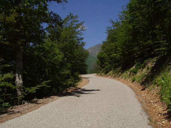 fichier 20050605_1302_d212f_route-0.jpg