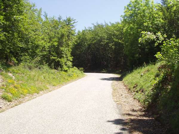 fichier 20050605_1304_001d212f_route-0.jpg