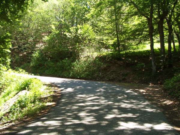 fichier 20050605_1305_d212f_route-0.jpg