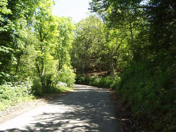 fichier 20050605_1306_002d212f_route-0.jpg