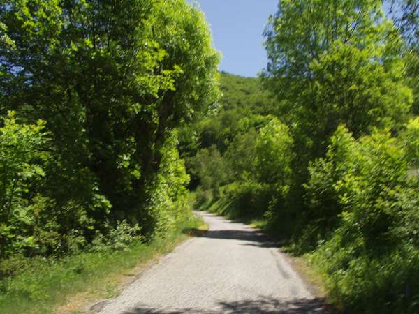 fichier 20050605_1308_d212f_route-0.jpg