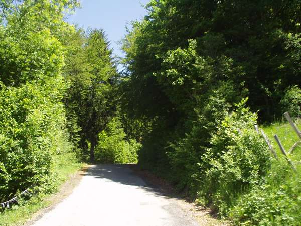 fichier 20050605_1309_d212f_route-0.jpg