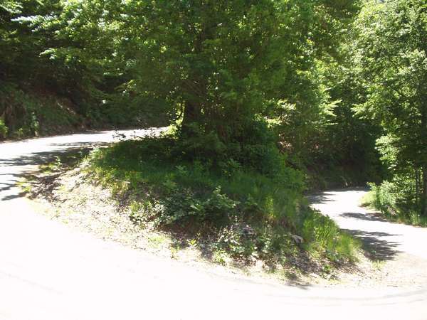 fichier 20050605_1312_002d212f_route_virage-0.jpg