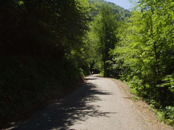 fichier 20050605_1313_d212f_route-0.jpg