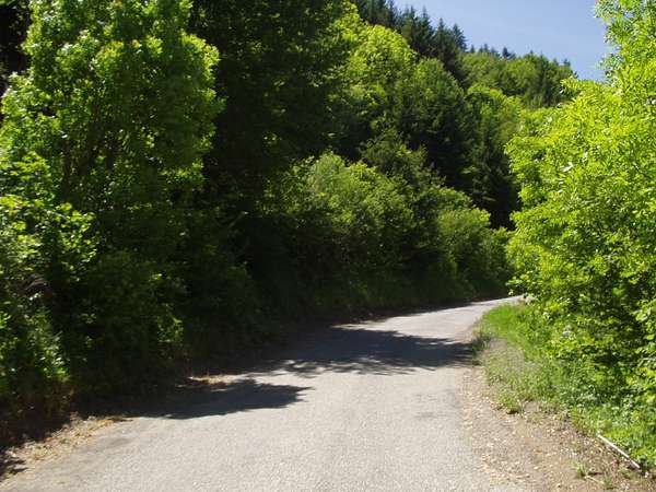 fichier 20050605_1315_d212f_route-0.jpg