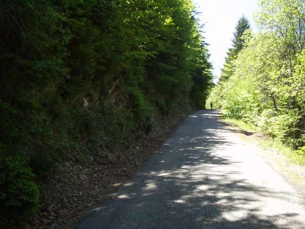 fichier 20050605_1317_d212f_route-0.jpg