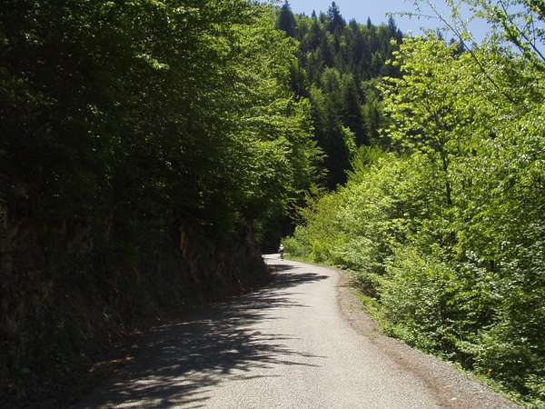 fichier 20050605_1318_001d212f_route-0.jpg