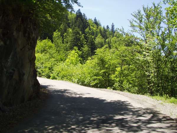 fichier 20050605_1319_d212f_route-0.jpg