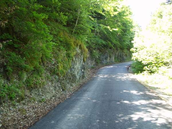 fichier 20050605_1320_d212f_route-0.jpg