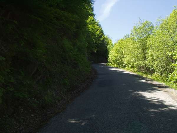 fichier 20050605_1329_002d212f_route-0.jpg