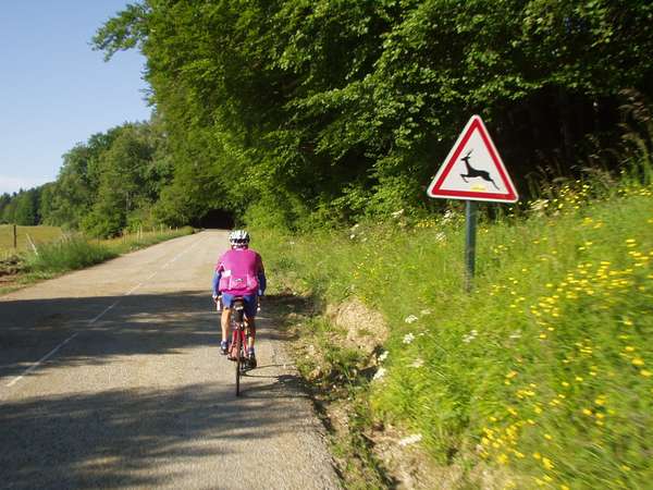 fichier 20050611_0808_001d28_vers_col_croix_1000martyrs-0.jpg