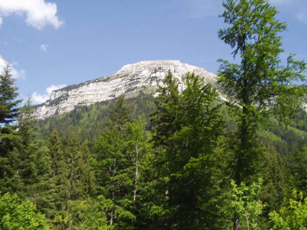 fichier 20050611_1609_d512_vers_col_porte_chamechaude-0.jpg