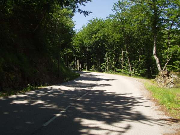 fichier 20050618_1447_route_d7-0.jpg