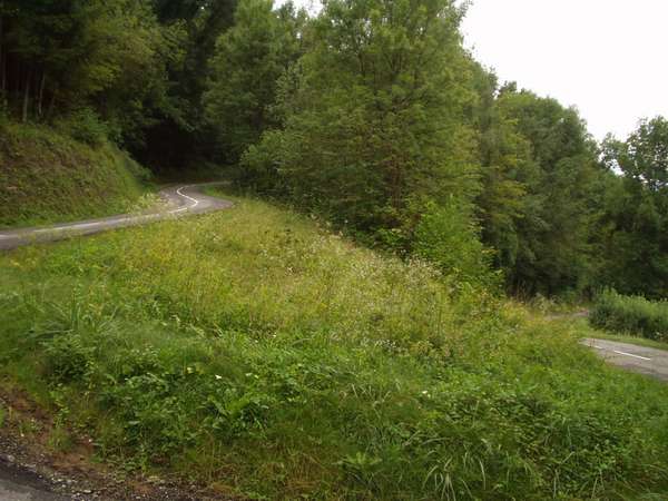 fichier 20050815_1008_002d24_route_virage-0.jpg
