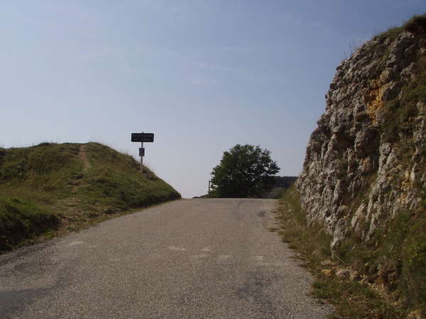 fichier 20050903_1137_003d101_col_tourniol-0.jpg