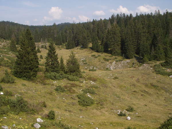 fichier 20050903_1509_d199_vue_plaine_vercors-0.jpg