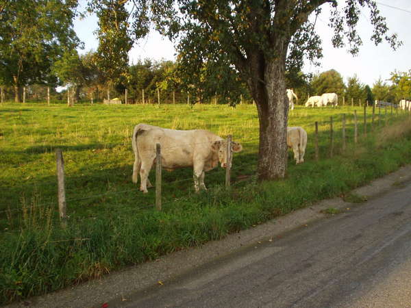 fichier 20050916_0801_001d2_route-0.jpg