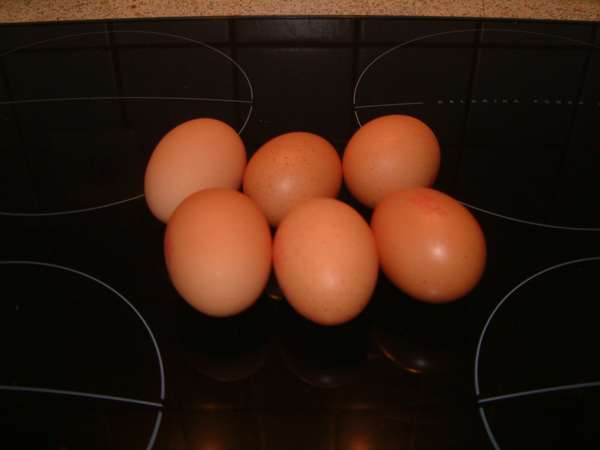 fichier 20050920_1809_6_oeufs-0.jpg