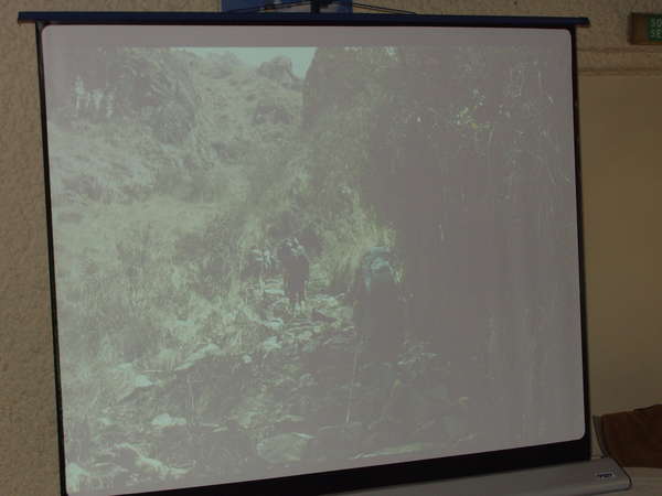 fichier 20051217_1530_002chemin-0.jpg