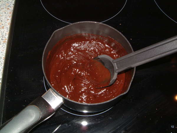 fichier 20060204_0847_002faire_fondre_chocolat_lait-0.jpg