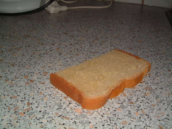 fichier 20060204_0912_001tranche_de_brioche-0.jpg