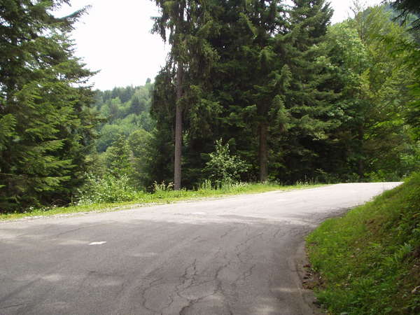 fichier 20060625_1250_d67_route_cyclos-0.jpg