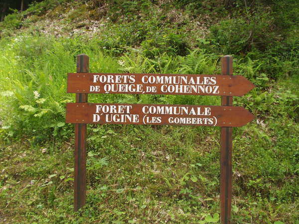 fichier 20060625_1251_d67_route_carrefour_rf-0.jpg