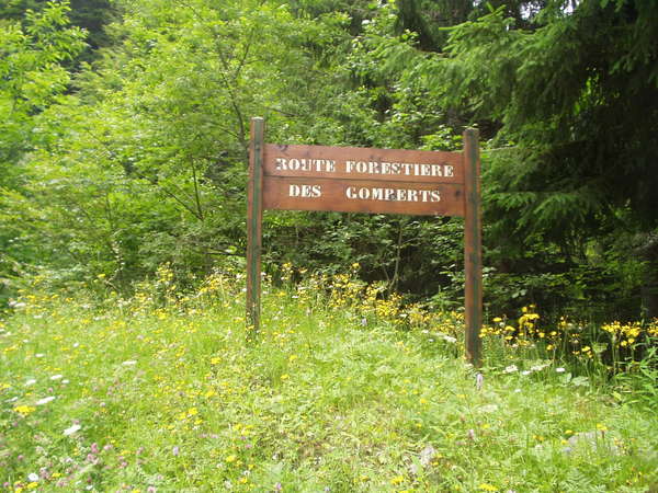 fichier 20060625_1252_d67_route_carrefour_rf_panneau-0.jpg