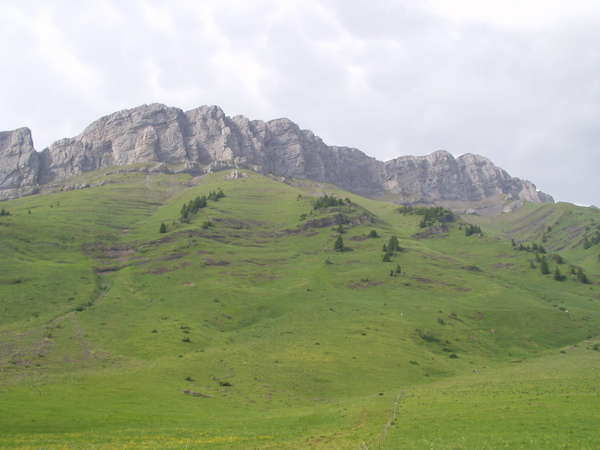 fichier 20060625_1719_002d909_route_col_des_aravis_paysage-0.jpg